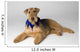 Pedigree Dog Wall Mural