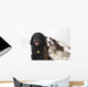 Pair Of Canine Friends Wall Mural