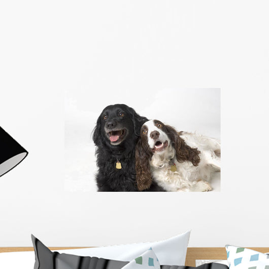 Pair Of Canine Friends Wall Mural