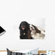 Pair Of Canine Friends Wall Mural