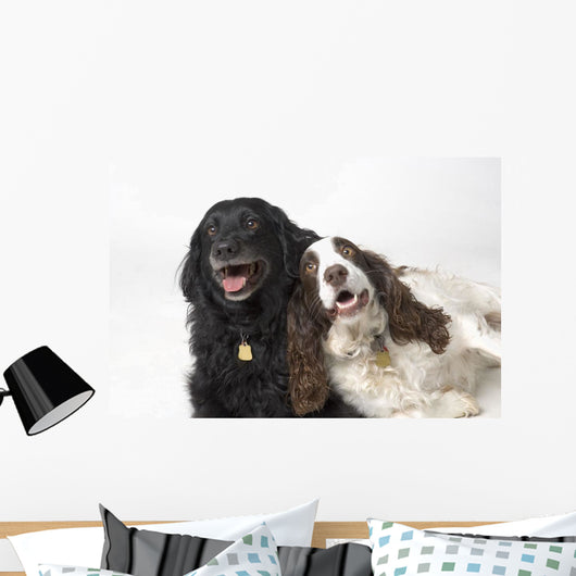 Pair Of Canine Friends Wall Mural