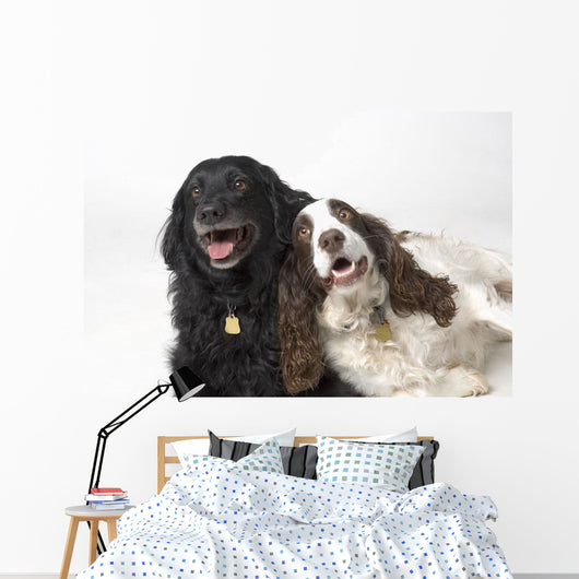 Pair Of Canine Friends Wall Mural