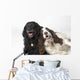 Pair Of Canine Friends Wall Mural