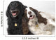 Pair Of Canine Friends Wall Mural
