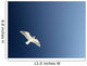 Seagull Soaring Wall Mural