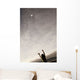 Balloon Floating Away In The Sky Wall Mural