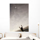 Balloon Floating Away In The Sky Wall Mural