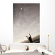 Balloon Floating Away In The Sky Wall Mural