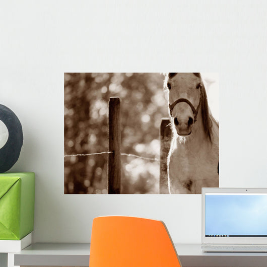 Portrait Of A Horse Wall Mural