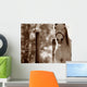 Portrait Of A Horse Wall Mural