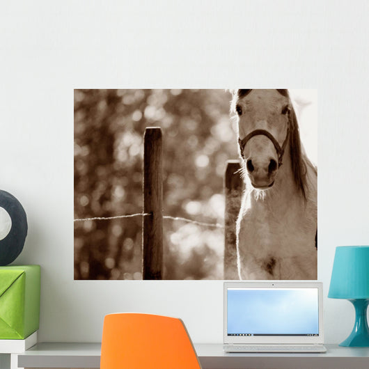 Portrait Of A Horse Wall Mural