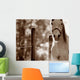 Portrait Of A Horse Wall Mural