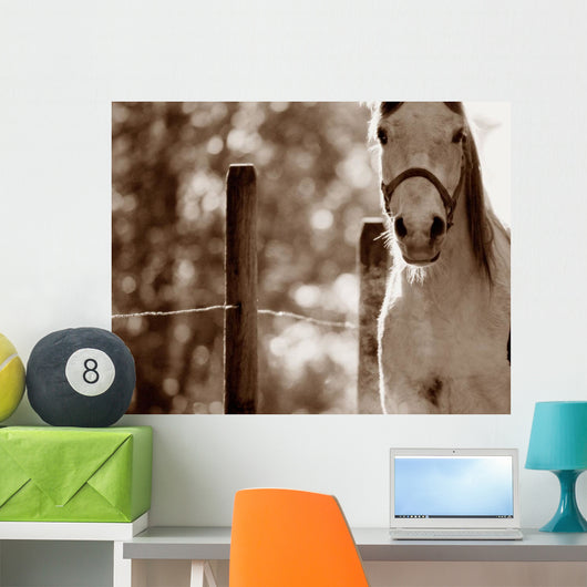 Portrait Of A Horse Wall Mural