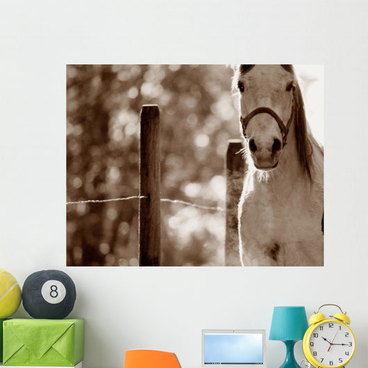 Portrait Of A Horse Wall Mural
