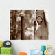 Portrait Of A Horse Wall Mural