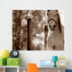 Portrait Of A Horse Wall Mural