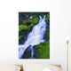 Bright Waterfall, Jasper, Alberta, Canada Wall Mural