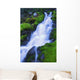 Bright Waterfall, Jasper, Alberta, Canada Wall Mural