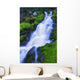 Bright Waterfall, Jasper, Alberta, Canada Wall Mural