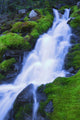 Bright Waterfall, Jasper, Alberta, Canada Wall Mural
