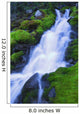 Bright Waterfall, Jasper, Alberta, Canada Wall Mural