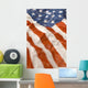 American Flag Wall Mural