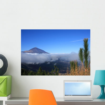 Mount Teide Teide National Wall Mural shown on a wall