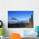 Mount Teide  Teide National Park Wall Mural