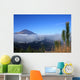 Mount Teide  Teide National Park Wall Mural