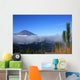 Mount Teide  Teide National Park Wall Mural