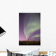 Northern Lights Wall Mural