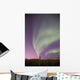 Northern Lights Wall Mural