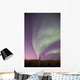 Northern Lights Wall Mural