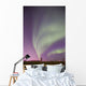 Northern Lights Wall Mural
