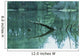 Scenic Woodland Lake Wall Mural
