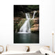 Water Falls and Cascades Wall Mural