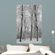 Winter Wonderland Wall Mural