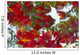 Leaves In Snow Wall Mural