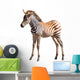Piccolo Di Zebra Wall Mural