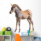 Piccolo Di Zebra Wall Mural