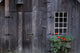 Wooden Building And Window Box Wall Mural