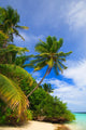 Tropical Paradise Maldives