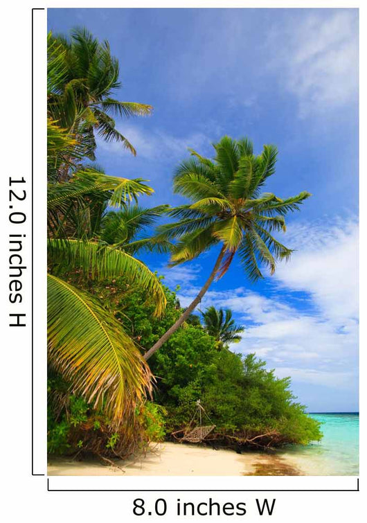 Tropical Paradise Maldives