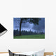 Coniferous Trees Early In The Morning Wall Mural