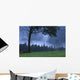 Coniferous Trees Early In The Morning Wall Mural