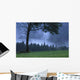Coniferous Trees Early In The Morning Wall Mural