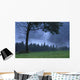 Coniferous Trees Early In The Morning Wall Mural
