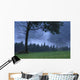 Coniferous Trees Early In The Morning Wall Mural