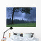 Coniferous Trees Early In The Morning Wall Mural