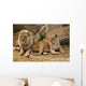 Angola Lion Wall Mural